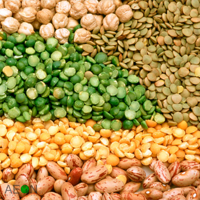 Agriculture / Soft Commodities 